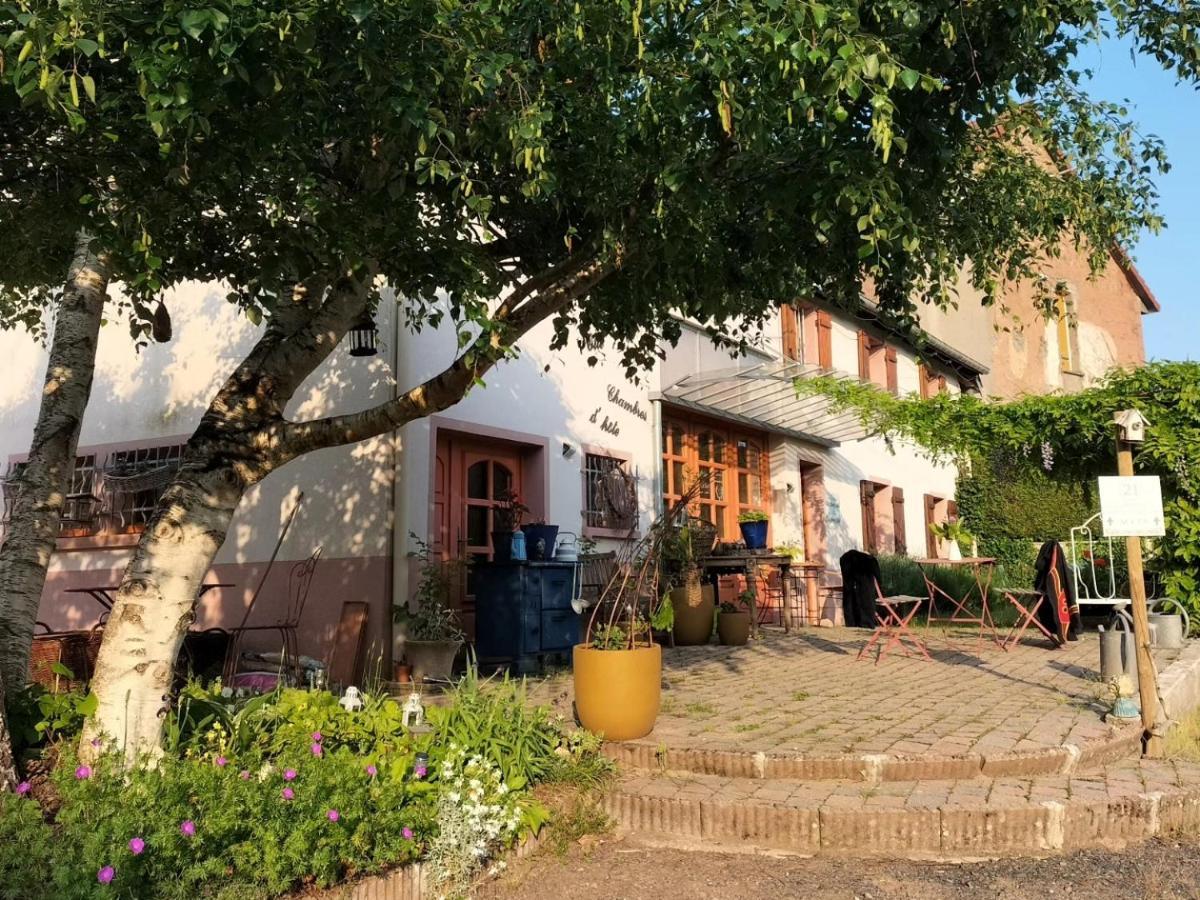 Les Capucines La Souris Des Champs Apartment Etival-Clairefontaine ภายนอก รูปภาพ