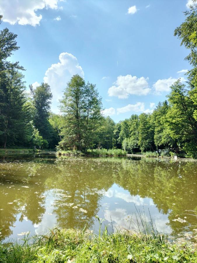 Les Capucines La Souris Des Champs Apartment Etival-Clairefontaine ภายนอก รูปภาพ