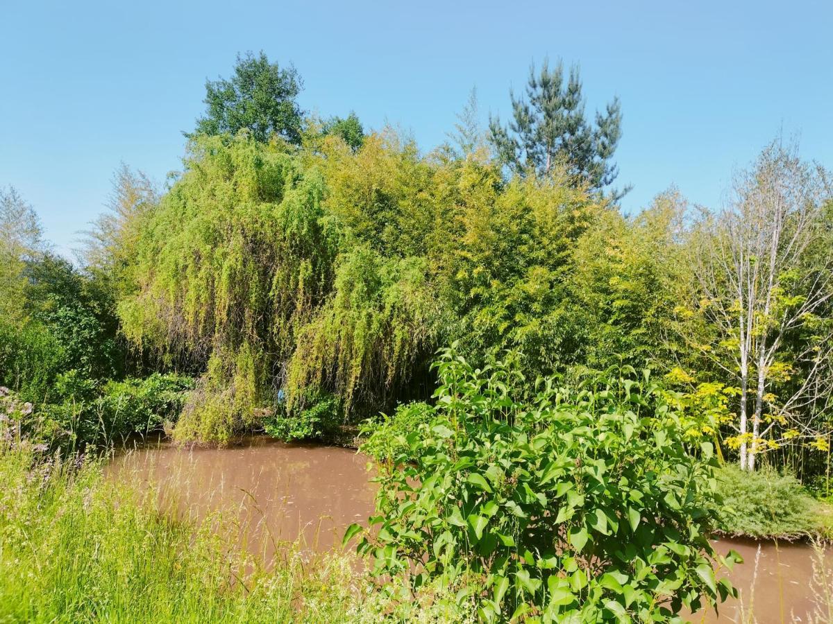 Les Capucines La Souris Des Champs Apartment Etival-Clairefontaine ภายนอก รูปภาพ