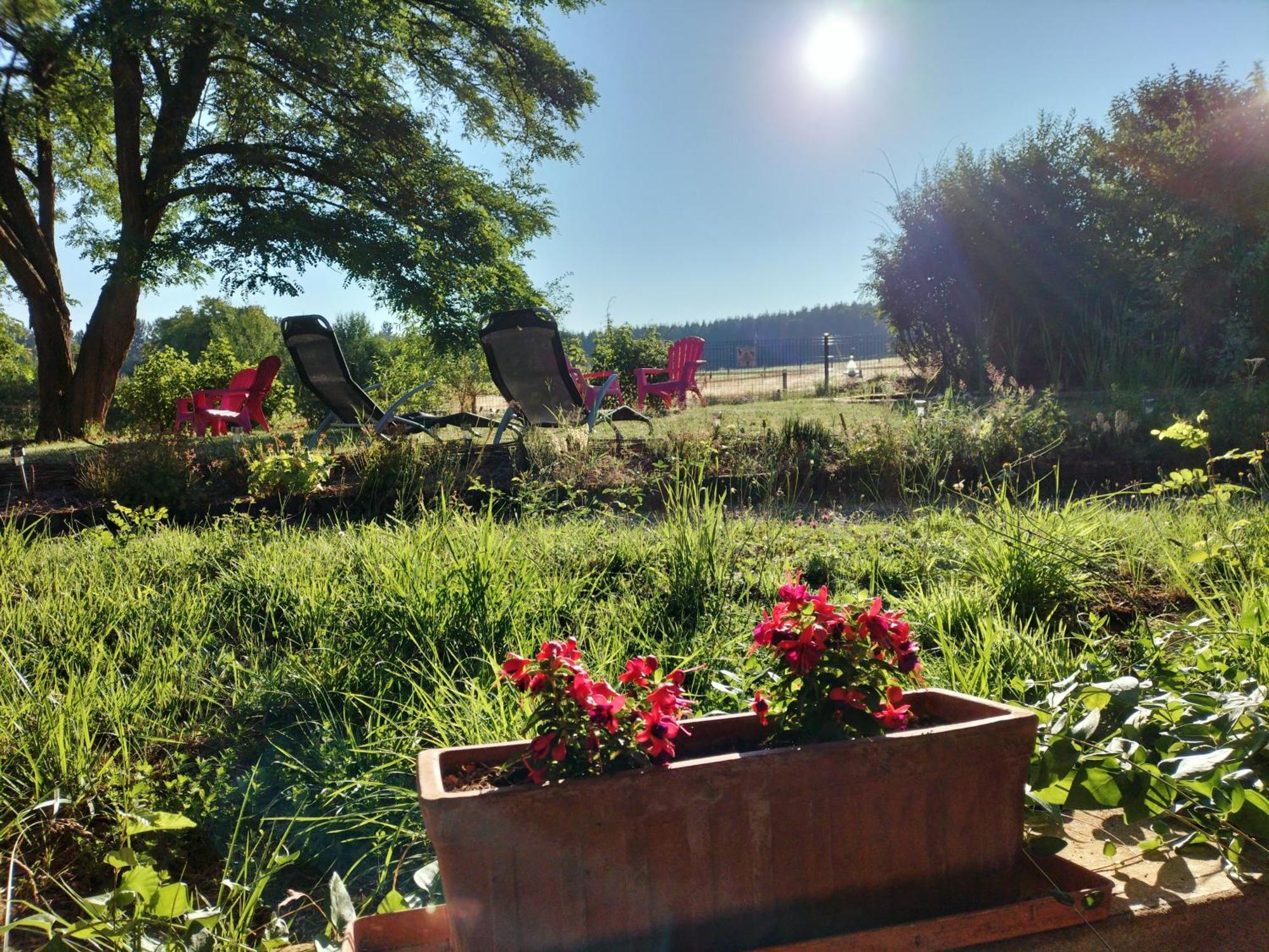 Les Capucines La Souris Des Champs Apartment Etival-Clairefontaine ภายนอก รูปภาพ